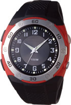 ZY-001.jpg